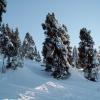 PICT0080.jpg